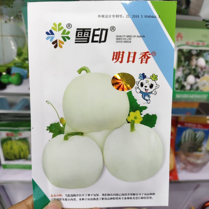 雪印明日香甜瓜种子薄皮特甜甜瓜种子白绿肉香甜可口