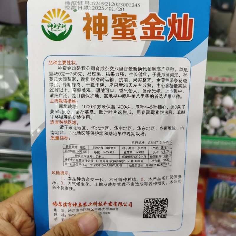 神蜜金灿八里香甜瓜种子耐裂高糖绿肉甜瓜种子高产香味浓