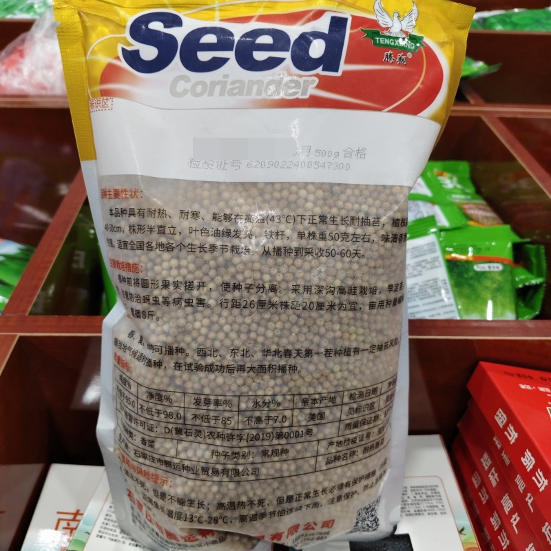 美国耐热香菜种子铁杆油面大叶香菜种籽四季种植