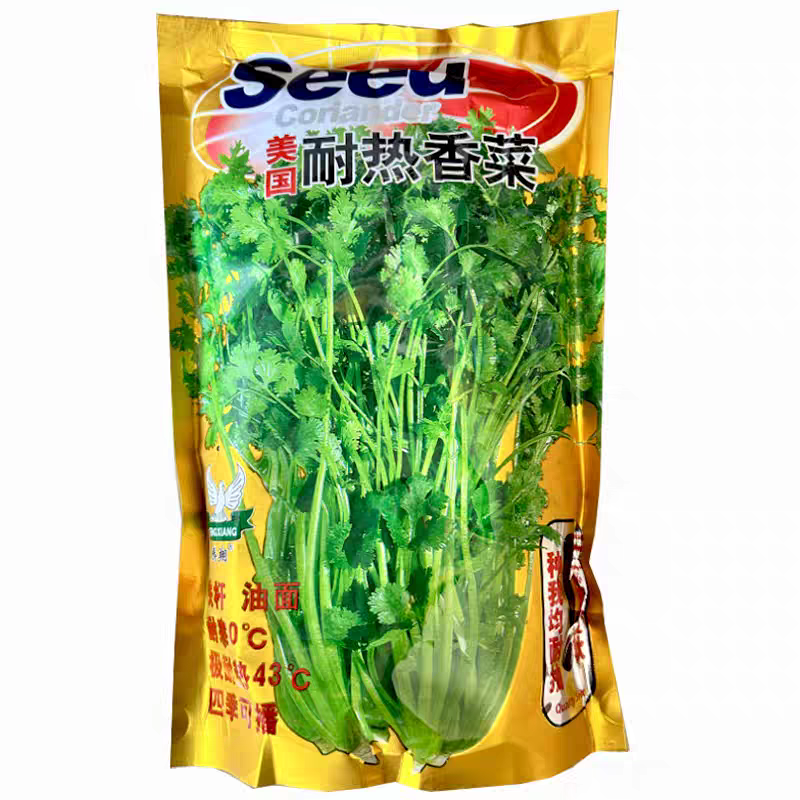 美国耐热香菜种子铁杆油面大叶香菜种籽四季种植