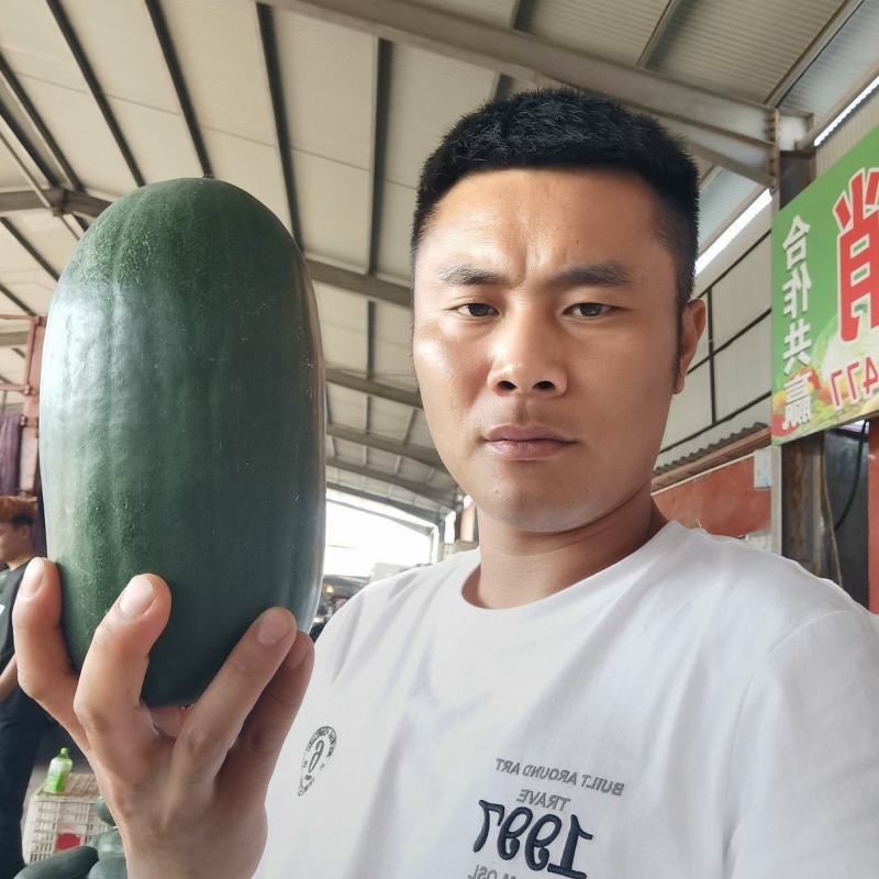 山东精品冬瓜水果冬瓜，代发全国视频看货，欢迎致电