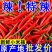 河南精品鲜辣椒小米辣新鲜采摘露天种植健康生长品质发货