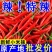 河南精品新鲜小米辣鲜辣椒原产地批发价一手货源新鲜饱满