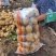 东北土豆吉林土豆尤金885土豆黑土地土豆品质高价实惠