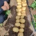 实验一号土豆东北土豆鲜土豆产地直销支持远程视频看货质量三包