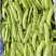 热卖吉林大油豆角东北油豆角现摘现发可拼车价格实惠欢迎联系