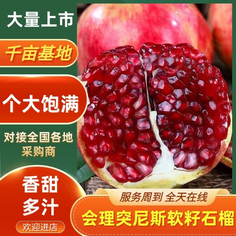 会理软籽突尼斯石榴大凉山统货价格便宜，个头大颜色红