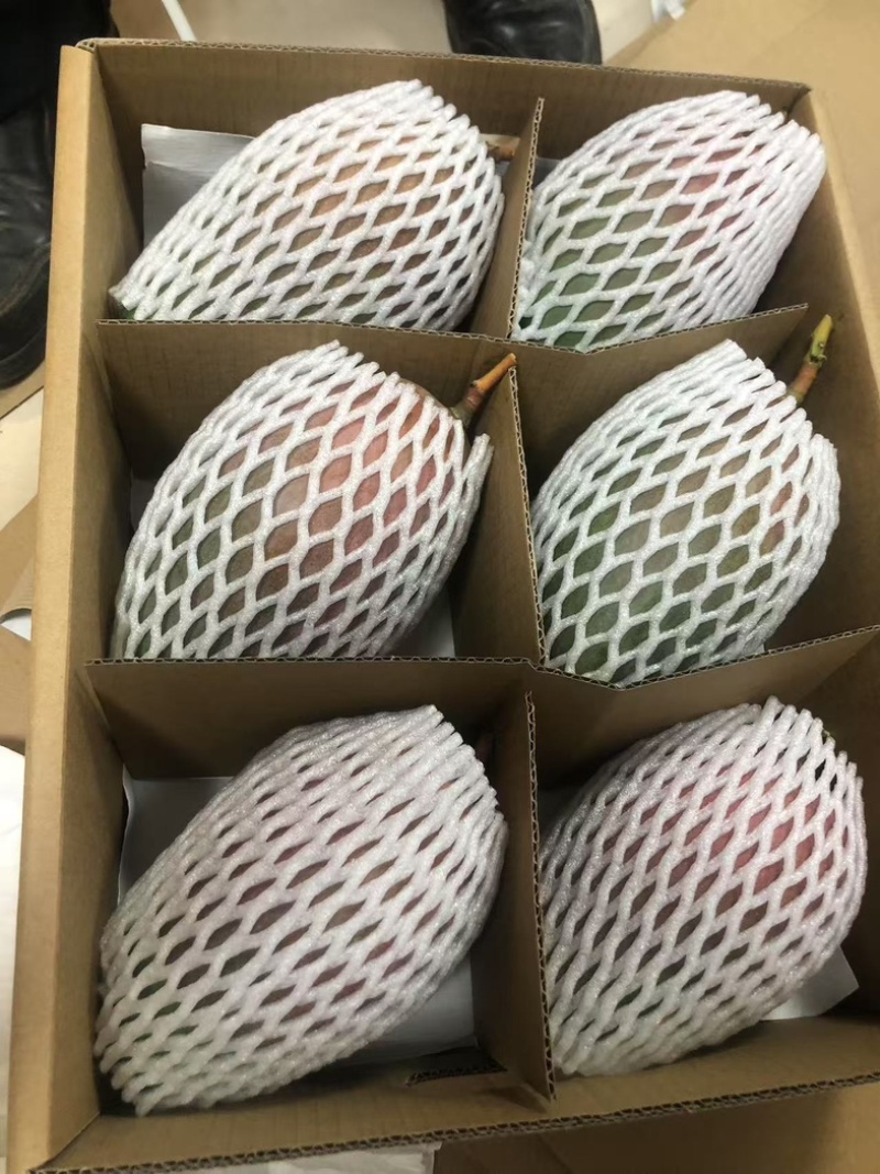 云南凯特芒果，一手货源，价格优惠，欢迎下单