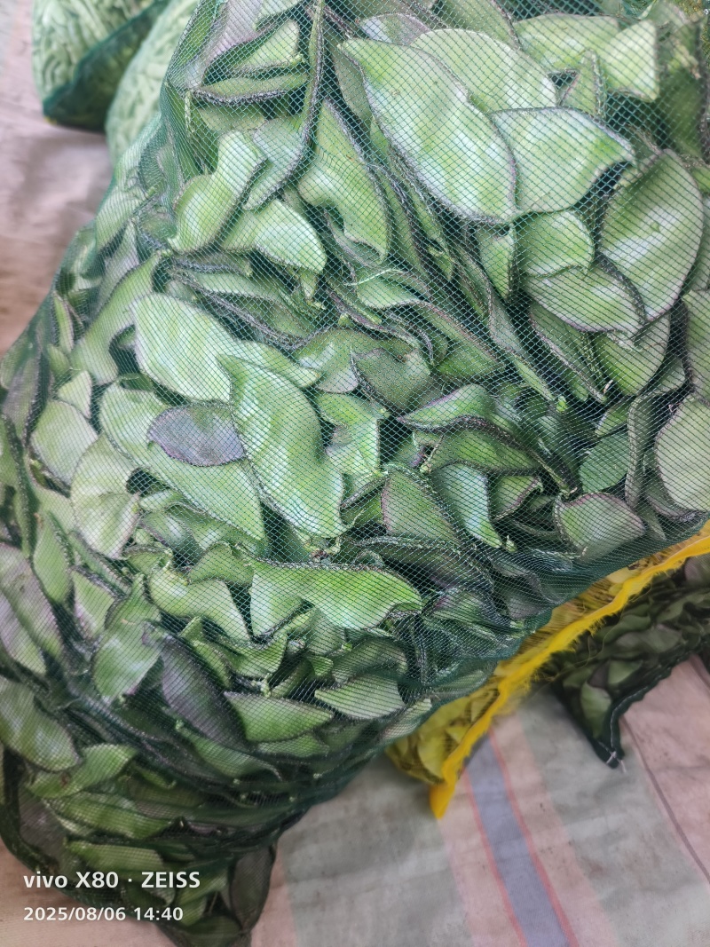 绿豆角猪耳豆