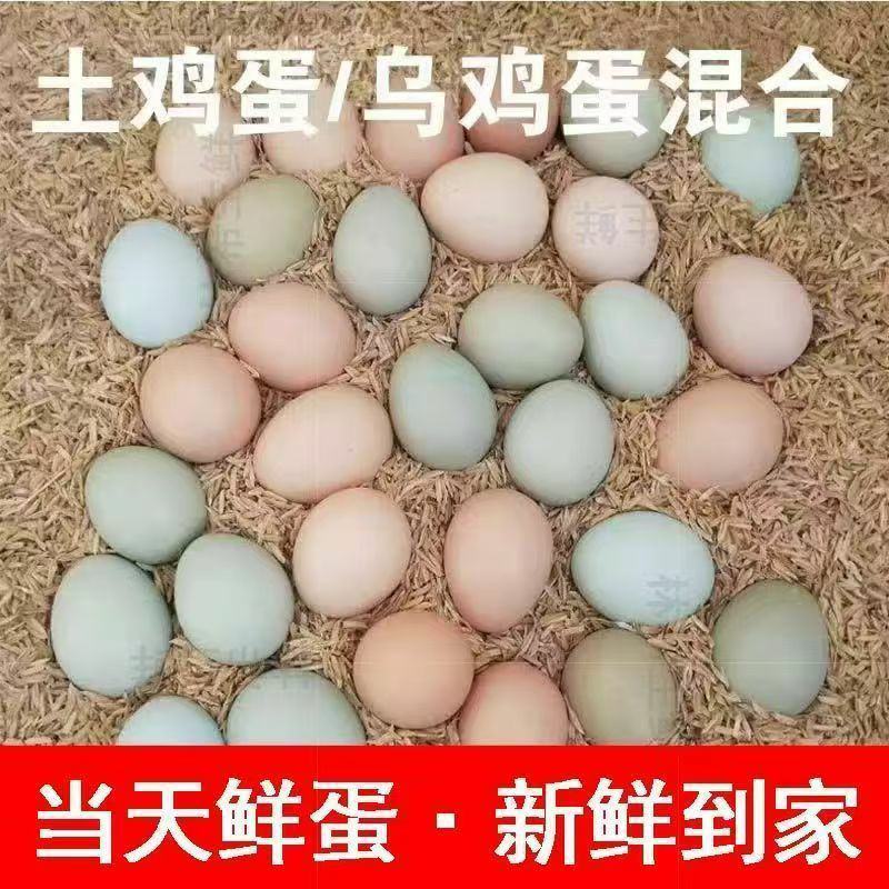 农家散养谷物蛋正宗鲜鸡蛋装新鲜土鸡蛋营养月子蛋笨鸡蛋