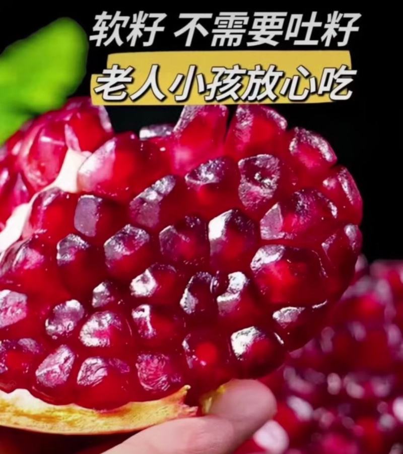 会理突尼斯小彩国