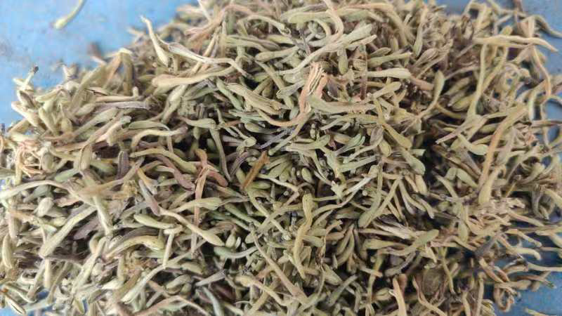金银花统货黄条自然晒干