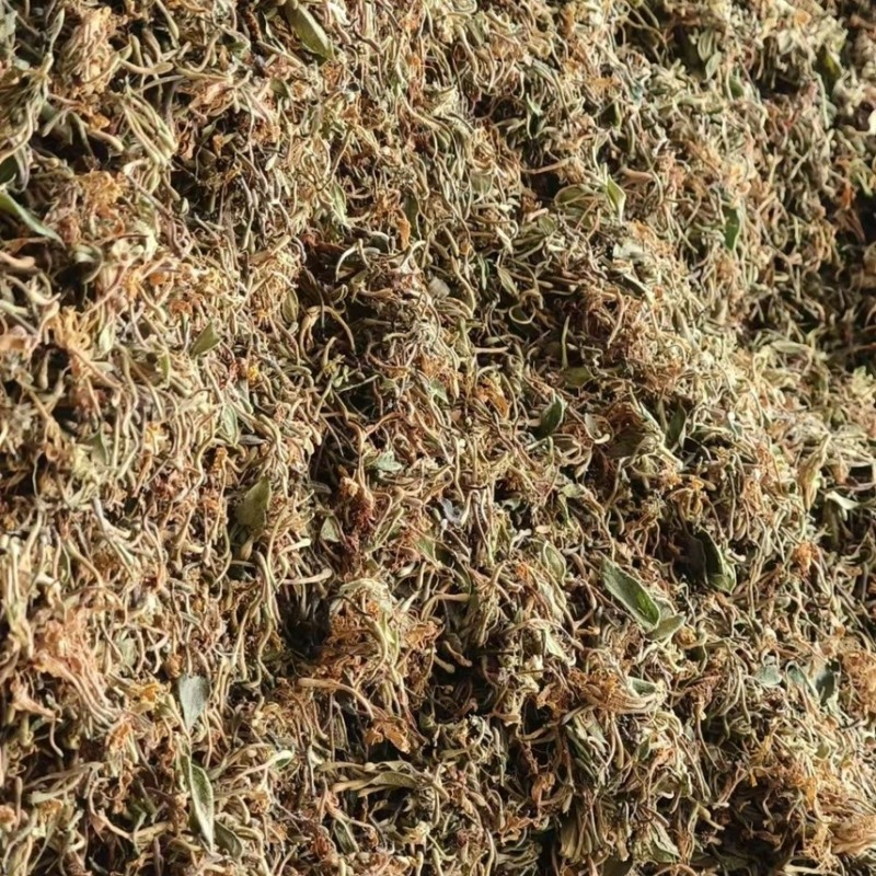 金银花统货黄条自然晒干