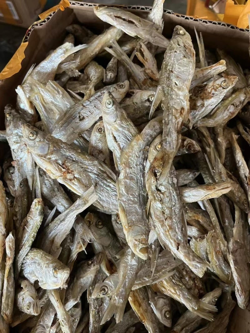 炭烤鱼干地摊电商炭烤鱼干白条白肖翘嘴鱼干干鱼