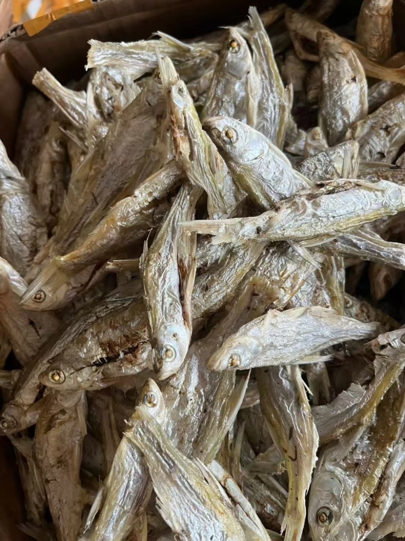 炭烤鱼干地摊电商炭烤鱼干白条白肖翘嘴鱼干干鱼