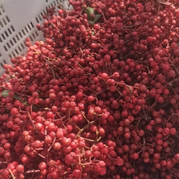 汉源花椒