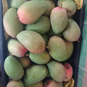 大量市场电商工厂货