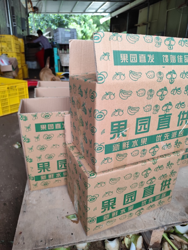 芭蕉粉蕉广东高州粉蕉一件可发