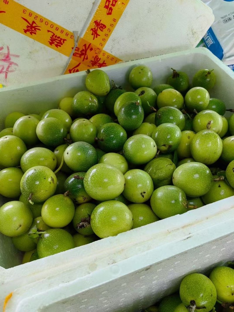 钦蜜九号百香果大量供应，产地直发，部分地区包邮，欢迎选购