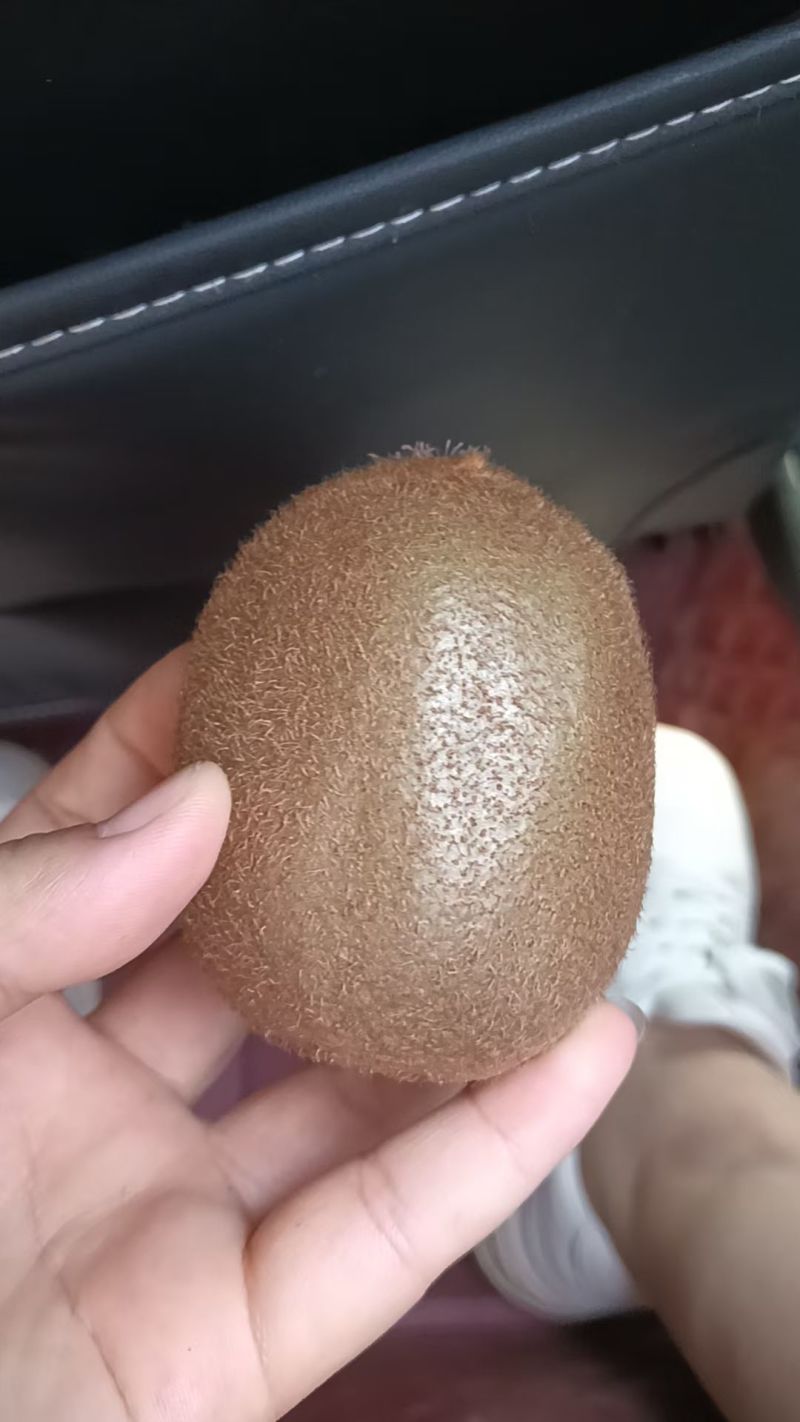 徐香猕猴桃