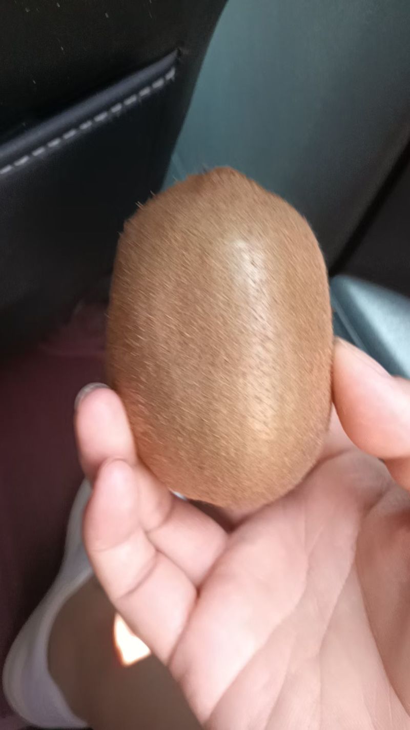 徐香猕猴桃