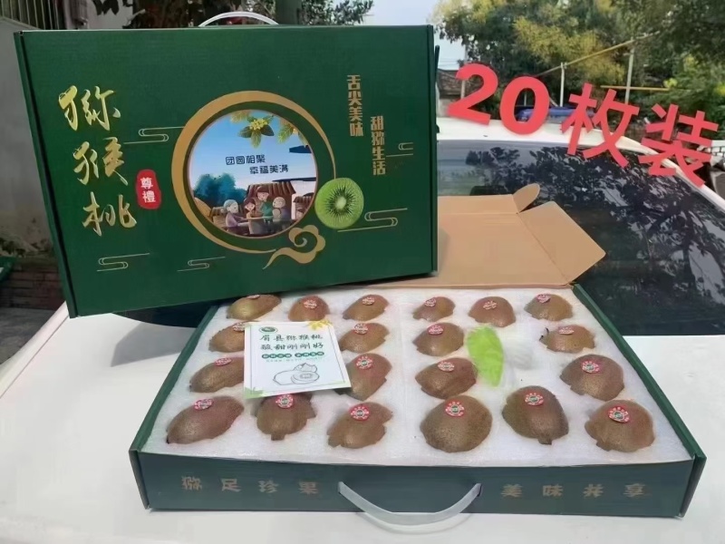 徐香猕猴桃