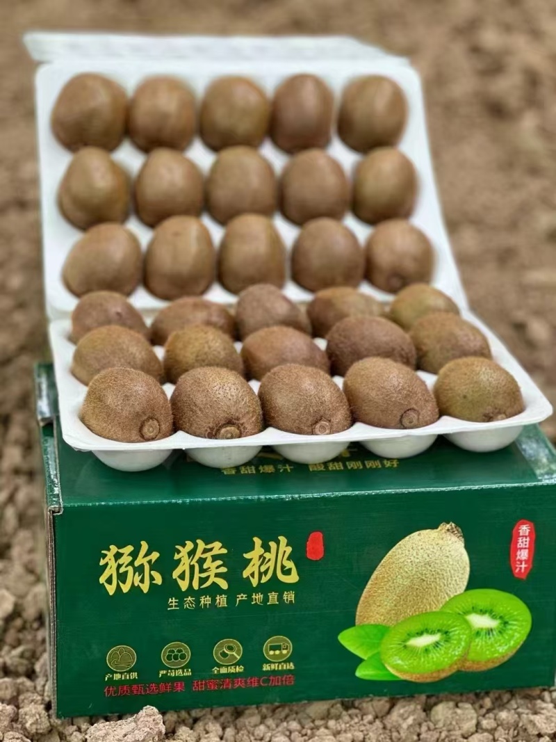 徐香猕猴桃