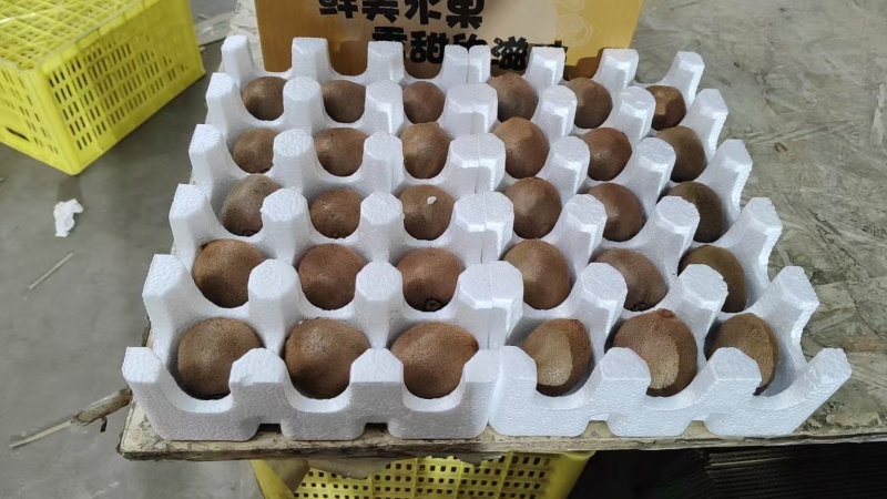 徐香猕猴桃