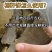棉籽饼肥料
