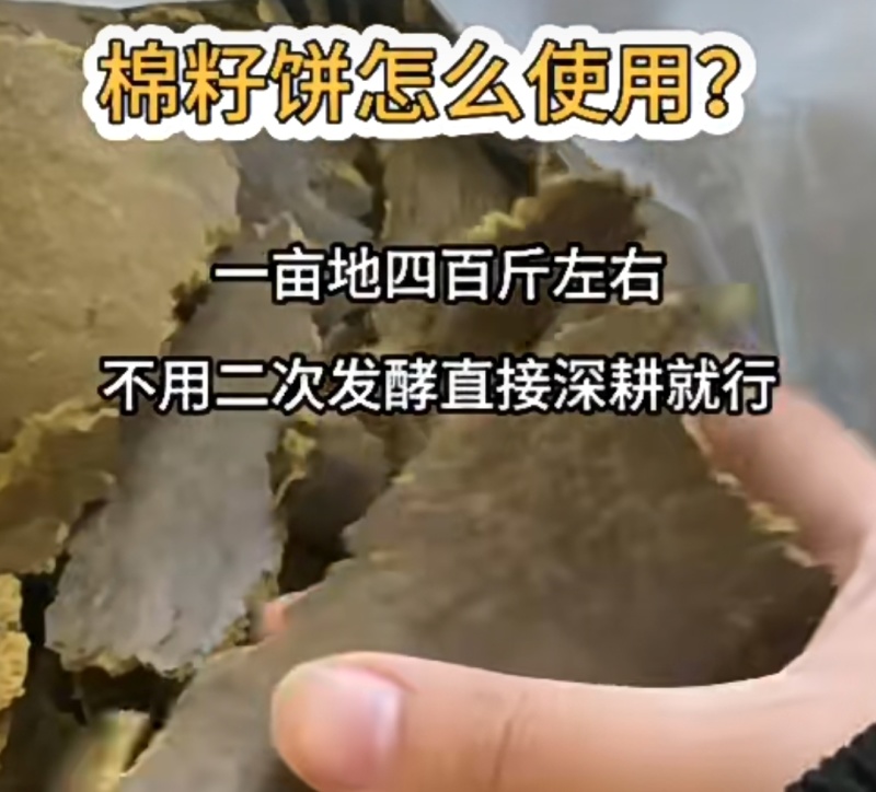 棉籽饼肥料