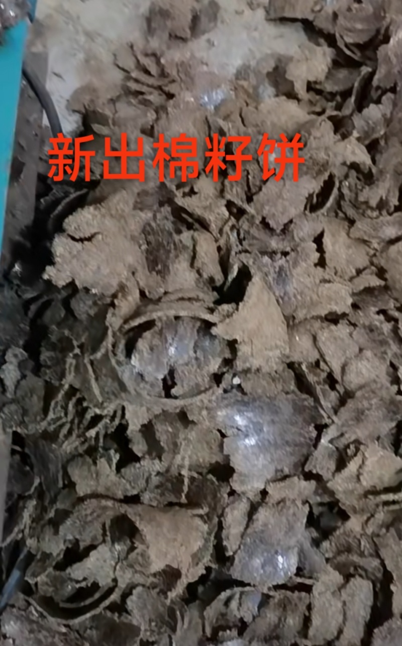 棉籽饼肥料