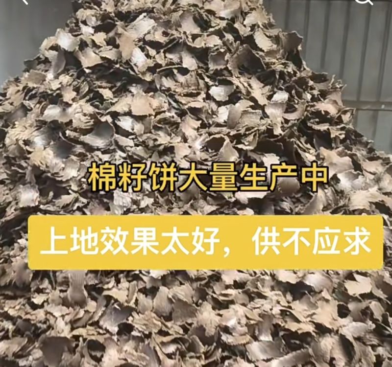 棉籽饼肥料
