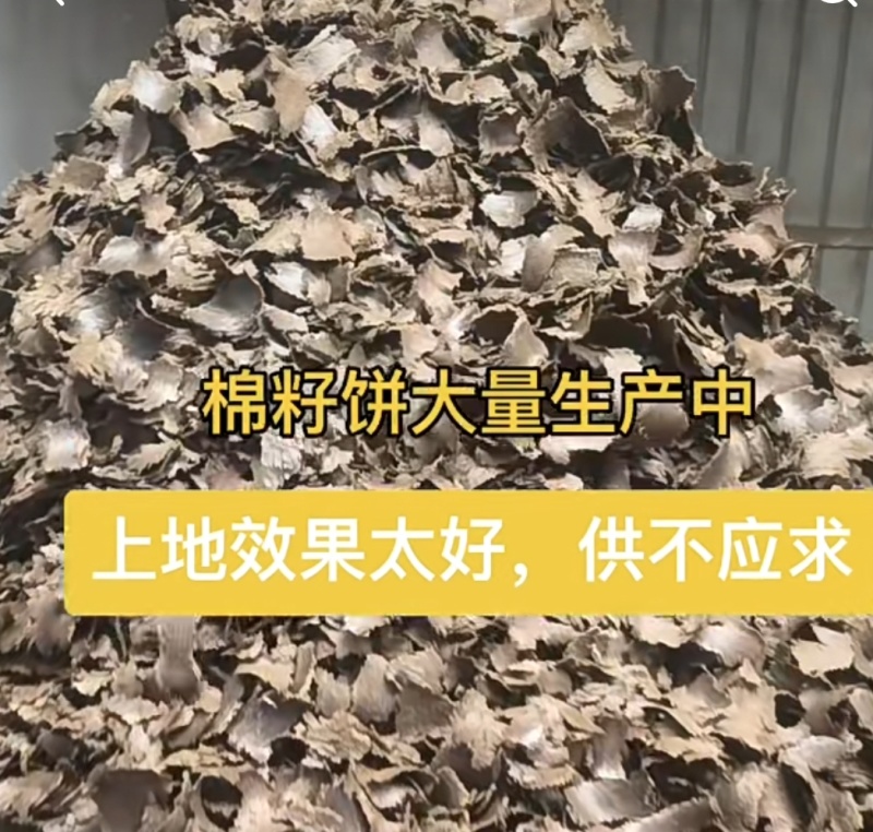棉籽饼肥料