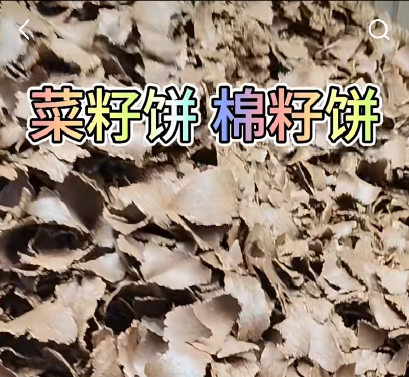 棉籽饼肥料