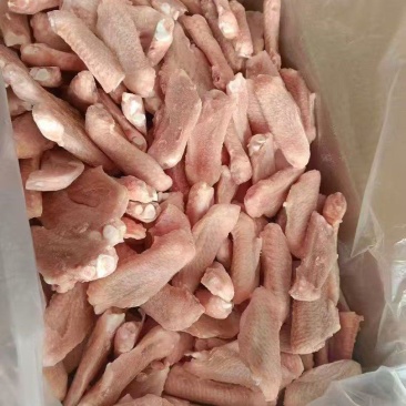 鸭翅中