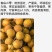 福建龙眼，，石硖，储良，福眼，草埔，产地代办，工厂果代收