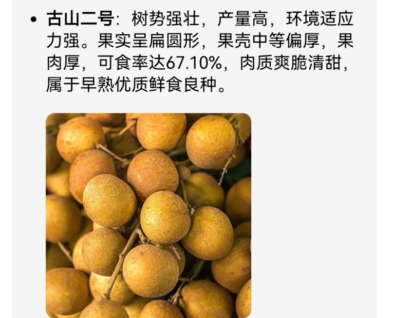 福建龙眼，，石硖，储良，福眼，草埔，产地代办，工厂果代收
