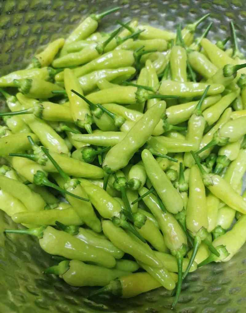 丘北野山椒货源
