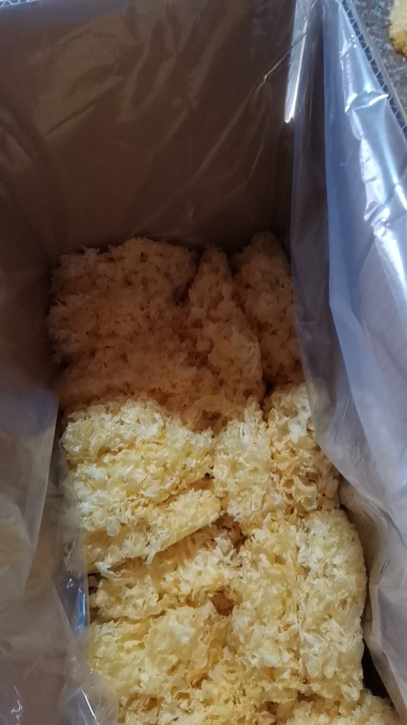 产地直发大花银耳当季新货