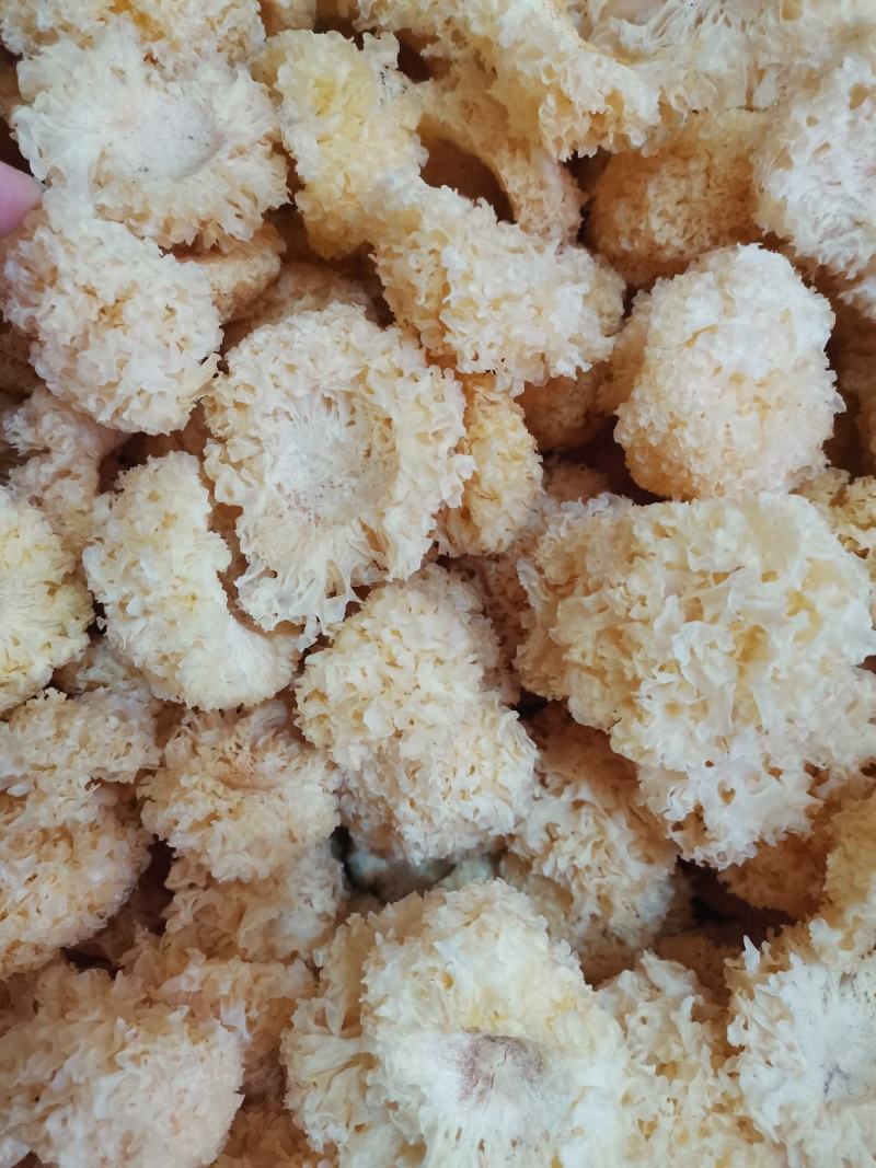 产地直发大花银耳当季新货