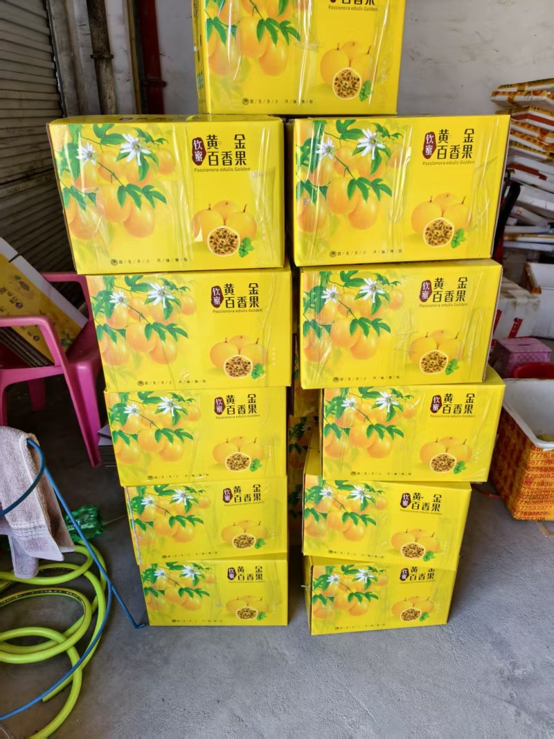 一件代发