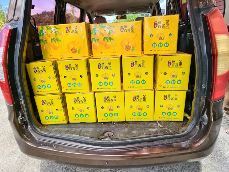 一件代发