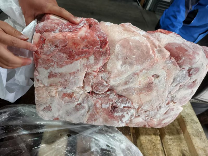 母猪二号带前驳