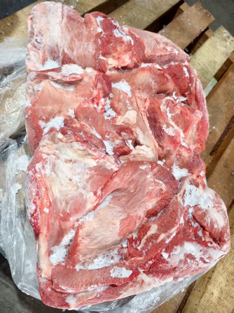 母猪二号带前驳