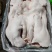 母猪面具
