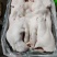 母猪面具