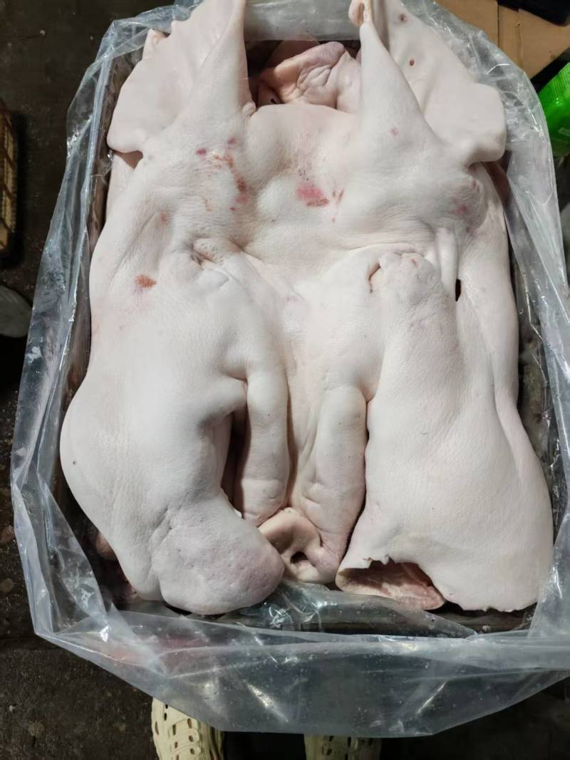 母猪面具