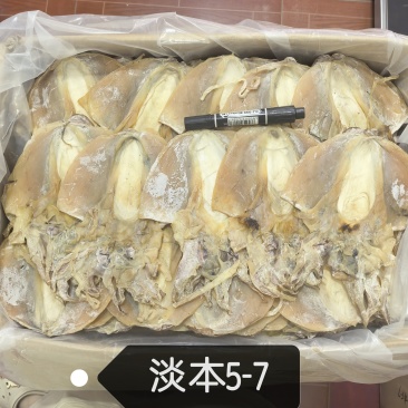 浙江本港轻盐5-7个一斤产地直销