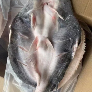 巴沙鱼，开背腌制巴沙鱼，12条装翻骨的巴沙鱼，特别好入味