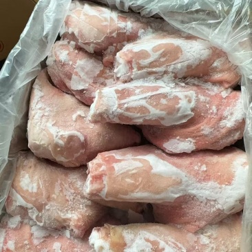 猪前肘子，大小都有